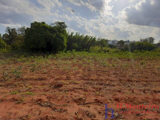 #16 - Área para Venda em Louveira - SP